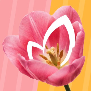 Логотип @okmarketofficial - ОКЕЙ