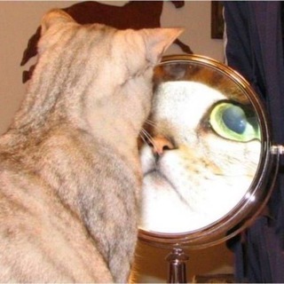 Логотип @okolobeautyful - Околобьюти👄👁️💇🏼‍♀️