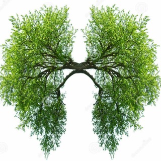 Логотип @okolovrachebnoe - Легче легкого