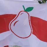 Логотип @okrug98 - 98-й Округ Новости