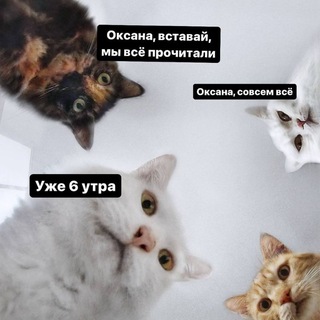Логотип @oksana_vstavai - Оксана, мы всё прочитали [18+]