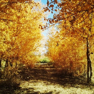 Логотип @oksvm - ✰𝐃𝐎'𝐒𝐓𝐋𝐀𝐑✰