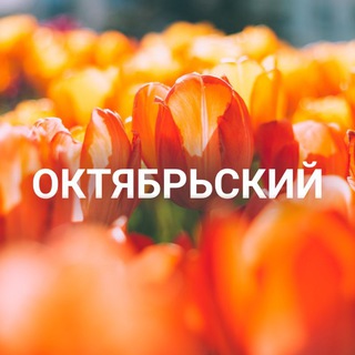 Логотип @okt_raion_krsk - Октябрьский район | Красноярск