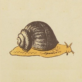 Логотип @old_mags - Листая старые журналы