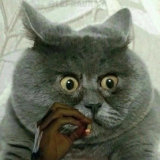 Логотип @oldmnf - олдман