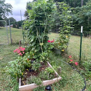 Логотип @oldnorthstate - Old North State