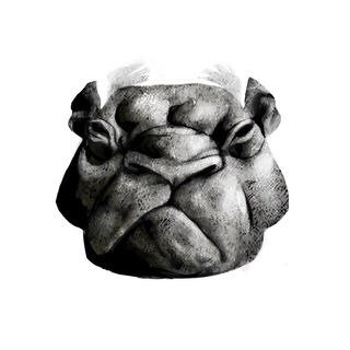 Логотип @oldoldanimal - old old animal