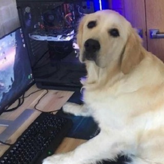 Логотип @oleg_log_blabla - oleg_log_blabla