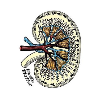 Логотип @olegabaimov - Уро_Life