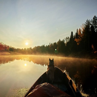 Логотип @olegpriroda - Будни Олега✨