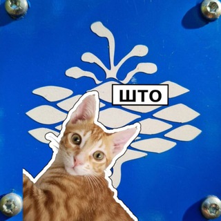 Логотип @olenoletchat - Привет, мы в Фи