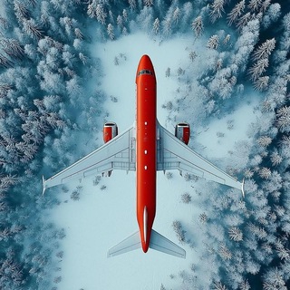 Логотип @olesyashikhareva - ВНЖ в Европе. Сервис Stella Polare