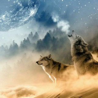 Логотип @olimpodellobo - Olimpo del lobo