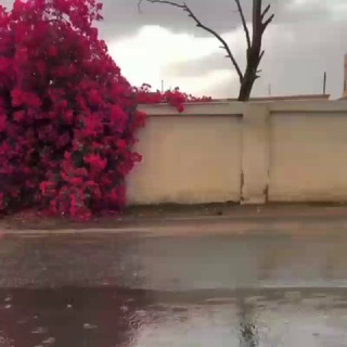 Логотип @olloga_oshiq_qalblar - 🕋🕌Ollohga oshiq qalblar🕌🕋