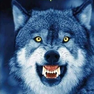 Логотип @oltreilblackout - Strategie per affrontare il black out