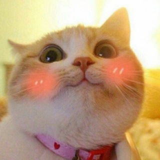 Логотип @olyab_and_humor - Оля б. нервно шутит