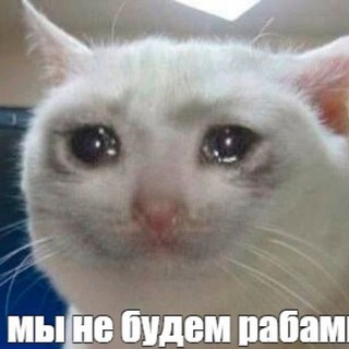 Логотип @omaviat - Омавиат