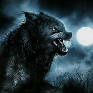 Логотип @omegawerewolf - 🐺Omega Werewolf 2.0🐺