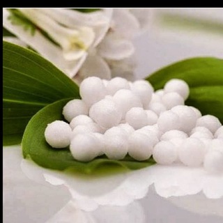 Логотип @omeopatia22 - Ơ̩̍M̩̍Є̩̍Ơ̩̍Ƥ̩̍ƛ̩̍Ƭ̩̍Ɩ̩̍Ƈ̩̍Ɩ̩̍ - medicina dell'anima 111 ✨✨✨✨✨🌸🌺🪷🥀🌹🌷💐🌾🍁🪸