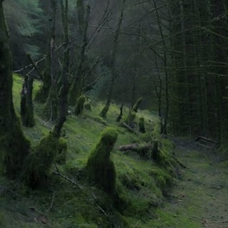 Логотип @omgwikee - wikee! #icantfeel