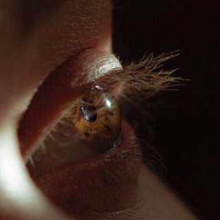 Логотип @omutzf - златокарий омут