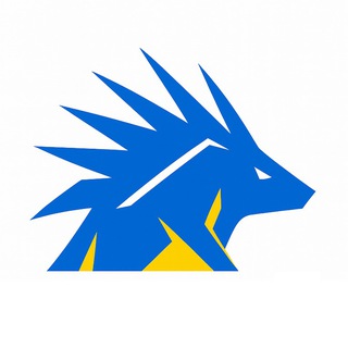 Логотип @on_duty - СТАЛЕВИЙ ДИКОБРАЗ