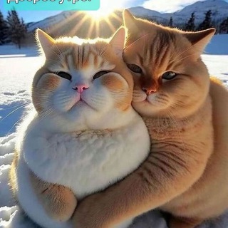 Логотип @onco_no - Онкология победима!❤️‍🔥