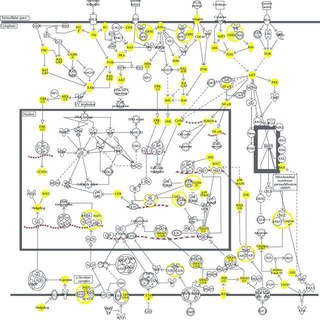 Логотип @oncofundamental - Очерки фундаментальной онкологии