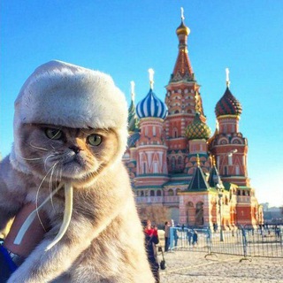 Логотип @one_day_in_russia - One Day In Russia 🇷🇺