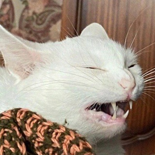 Логотип @oneforall_allforone - Каналья!