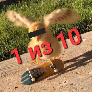 Логотип @onememeaweek - 1 из 10 мемов я сделал сам