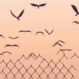 Логотип @onkrf - Пермское правозащитное издание