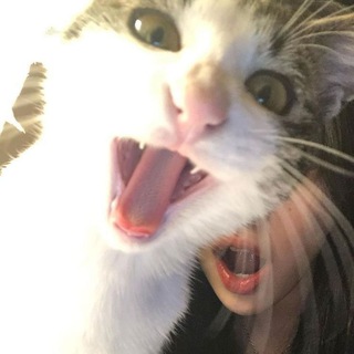Логотип @onlineass - онлайн