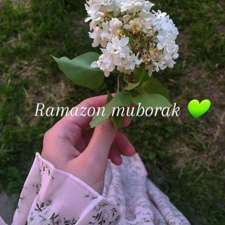 Логотип @only_girls88 - 🦋💙ᴏɴʟy_ɢɪʀʟ❤🐞