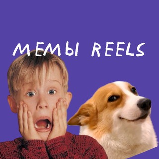 Логотип @only_mems2024 - только МЕМЫ / смешные видео / футажи