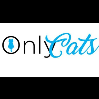 Логотип @onlycats - 𝔾𝕒𝕥𝕠𝕤 😻 ℂ𝕒𝕥𝕤 🐈‍⬛