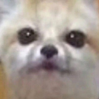 Логотип @onlyfens - ONLYFENS