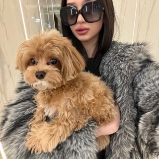 Логотип @onlykrisssty - onlykrisssty