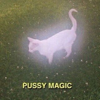 Логотип @onlyuoy8 - PussyPIC