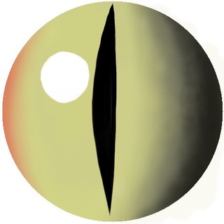 Логотип @onomschannel - Сними лапшу. Альтернативные картины дня