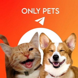 Логотип @oonly_pets - Only Pets