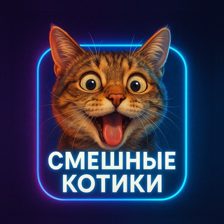 Логотип @ooo_kotiki - Смешные котики