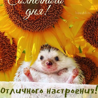 Логотип @ooooooooppppee - Биба и Боба 🥰