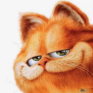 Логотип @ootkrytky - Otkrytky