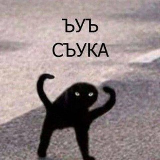 Логотип @op_aerokos - Выкрики из зала