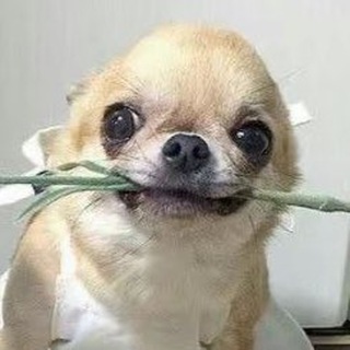 Логотип @opalart - 𝒟𝒜𝑅𝒜 𝑅𝐵