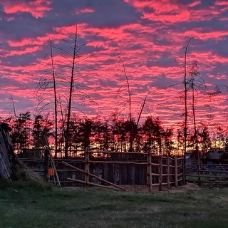 Логотип @oper_style_14 - 🌴Песни🥀