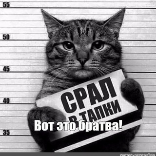 Логотип @opg013 - 🎎БРАТВА В ТАПКАХ🖕