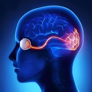 Логотип @ophthabrain - Офтамозг