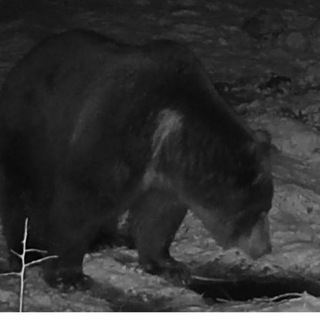 Логотип @opk_kingdom - ОПК «Любокняжеское»